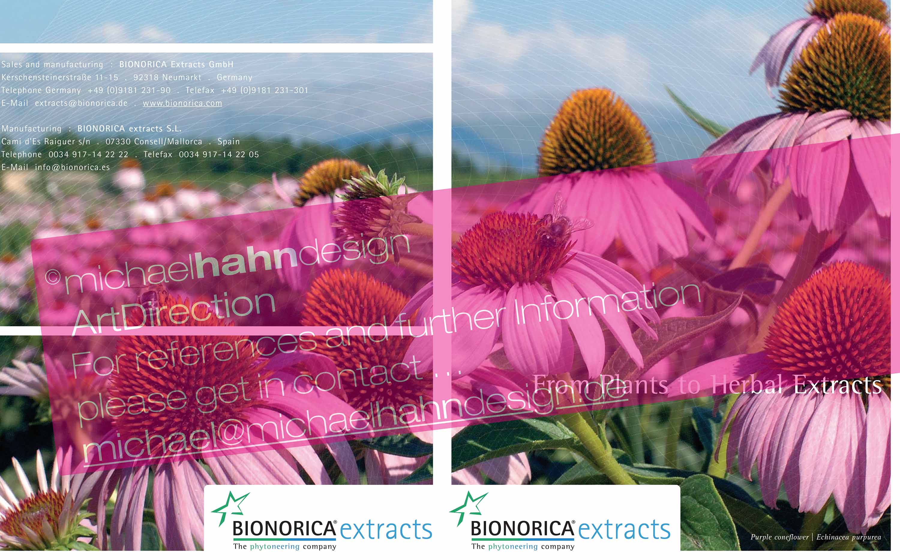 Michael Hahn Design - Bild 015